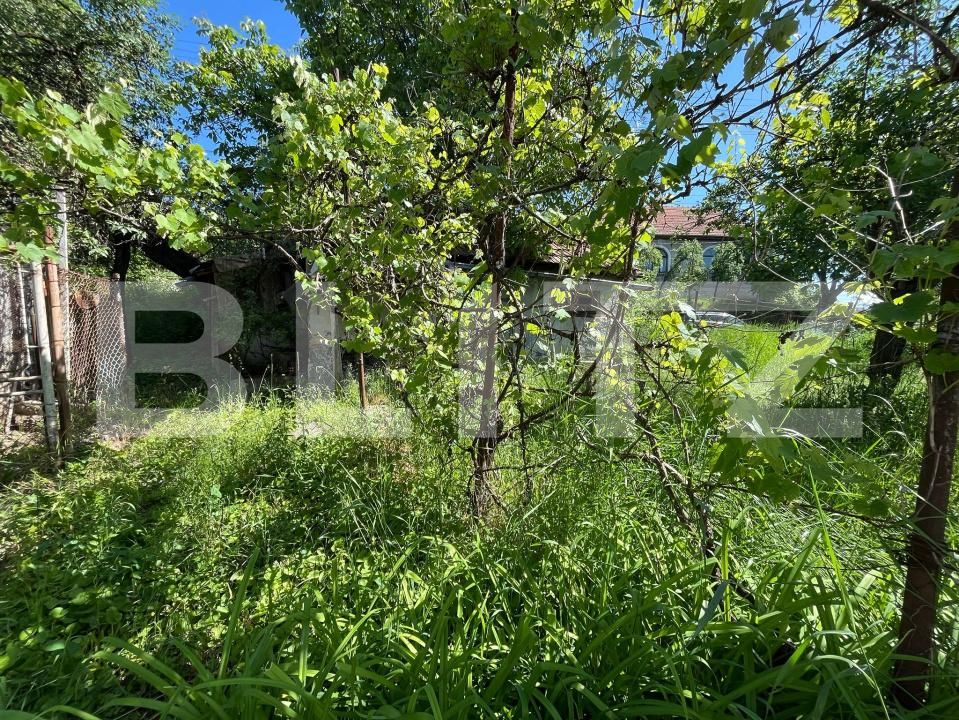 Casa de vânzare 3 camere Dambul Rotund - 196302CV | BLITZ Cluj-Napoca | Poza3