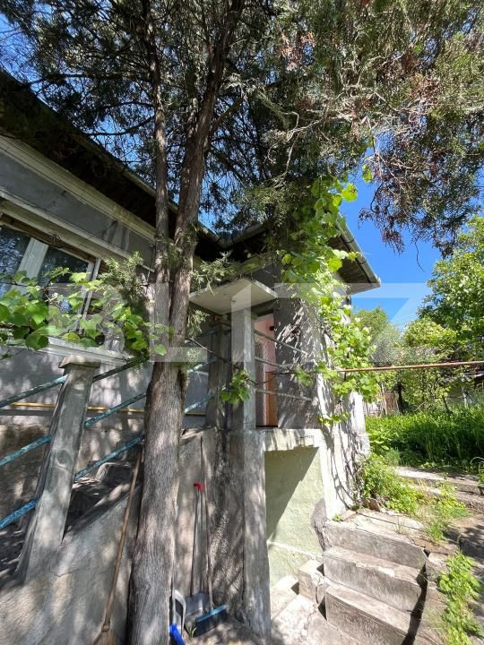Casa de vânzare 3 camere Dambul Rotund - 196302CV | BLITZ Cluj-Napoca | Poza2