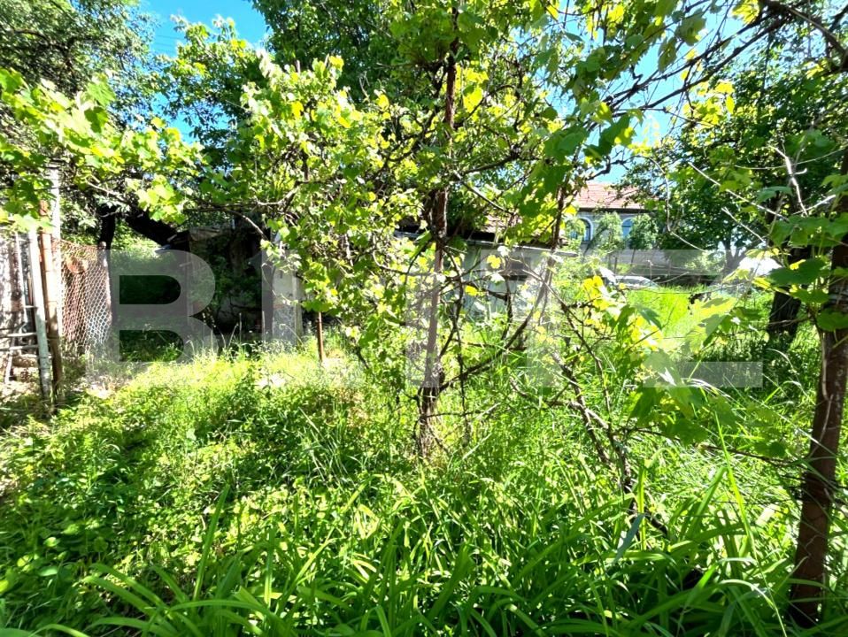 Casa de vânzare 3 camere Dambul Rotund - 196302CV | BLITZ Cluj-Napoca | Poza2