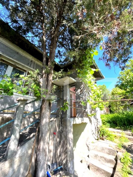 Casa de vânzare 3 camere Dambul Rotund - 196302CV | BLITZ Cluj-Napoca | Poza3