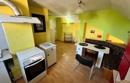Apartament 1 cameră, cu balcon, în vilă, Andrei Mureșanu – 47 mp
