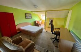 Apartament 1 cameră, cu balcon, în vilă, Andrei Mureșanu – 47 mp