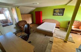 Apartament 1 cameră, cu balcon, în vilă, Andrei Mureșanu – 47 mp