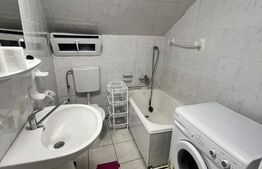 Apartament 1 cameră, cu balcon, în vilă, Andrei Mureșanu – 47 mp