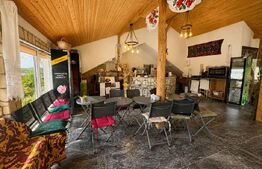 Spatiu de inchiriat in Salicea - Alimentatie publica!