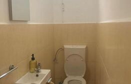 Ultracentral | Apartament ideal pentru salon, cabinet sau birou | 40+13 mp