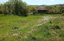 Casă cu teren generos de 1100 mp în Comuna Mică – ideală pentru investiții 