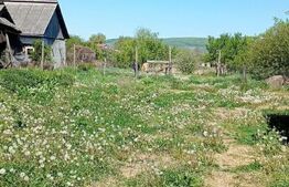Casă cu teren generos de 1100 mp în Comuna Mică – ideală pentru investiții 