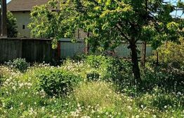Casă cu teren generos de 1100 mp în Comuna Mică – ideală pentru investiții 
