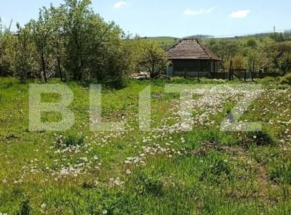 Casa de vânzare 2 camere Mica - 196359CV | BLITZ Cluj-Napoca | Poza15