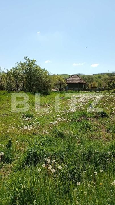 Casa de vânzare 2 camere Mica - 196359CV | BLITZ Cluj-Napoca | Poza15