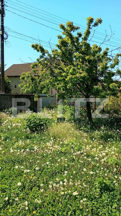 Casa de vânzare 2 camere Mica - 196359CV | BLITZ Cluj-Napoca | Poza12