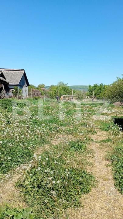 Casa de vânzare 2 camere Mica - 196359CV | BLITZ Cluj-Napoca | Poza14