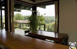 Vanzare casa 480 mp utili, teren 9000 mp, cu SPA, locatie retrasa si linistita!