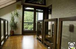 Vanzare casa 480 mp utili, teren 9000 mp, cu SPA, locatie retrasa si linistita!