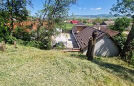 Casa frumoasa Rotbav - 30 minute  de Brasov, 2235 mp teren - 5 camere, pivnita