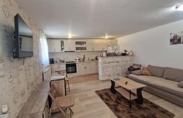 Casa frumoasa Rotbav - 30 minute  de Brasov, 2235 mp teren - 5 camere, pivnita