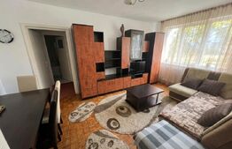 Apartament 2 camere | Zona Mihai Viteazu | Parcare