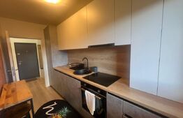 Apartament 2 camere, grădină, 2 parcări,  zona Tineretului