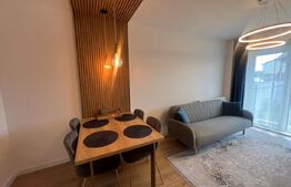 Apartament 2 camere, grădină, 2 parcări,  zona Tineretului
