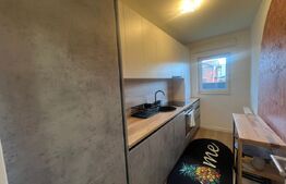 Apartament 2 camere, grădină, 2 parcări,  zona Tineretului