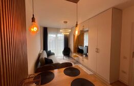 Apartament 2 camere, grădină, 2 parcări,  zona Tineretului