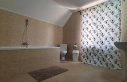 De vanzare casa de vacanta in Fundata