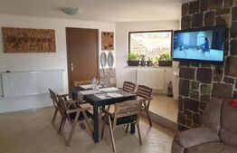 De vanzare casa de vacanta in Fundata