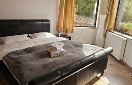 De vanzare casa de vacanta in Fundata