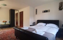 De vanzare casa de vacanta in Fundata