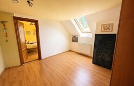 Cabana deosebită în Muntele Băișorii | 220 mp utili | 2717mp teren | 5dormitoare