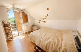 Cabana deosebită în Muntele Băișorii | 220 mp utili | 2717mp teren | 5dormitoare