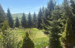 Cabana deosebită în Muntele Băișorii | 220 mp utili | 2717mp teren | 5dormitoare