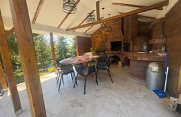 Cabana deosebită în Muntele Băișorii | 220 mp utili | 2717mp teren | 5dormitoare