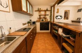 Cabana deosebită în Muntele Băișorii | 220 mp utili | 2717mp teren | 5dormitoare