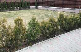 O casa pe care o sa o iubesti de la prima intalnire