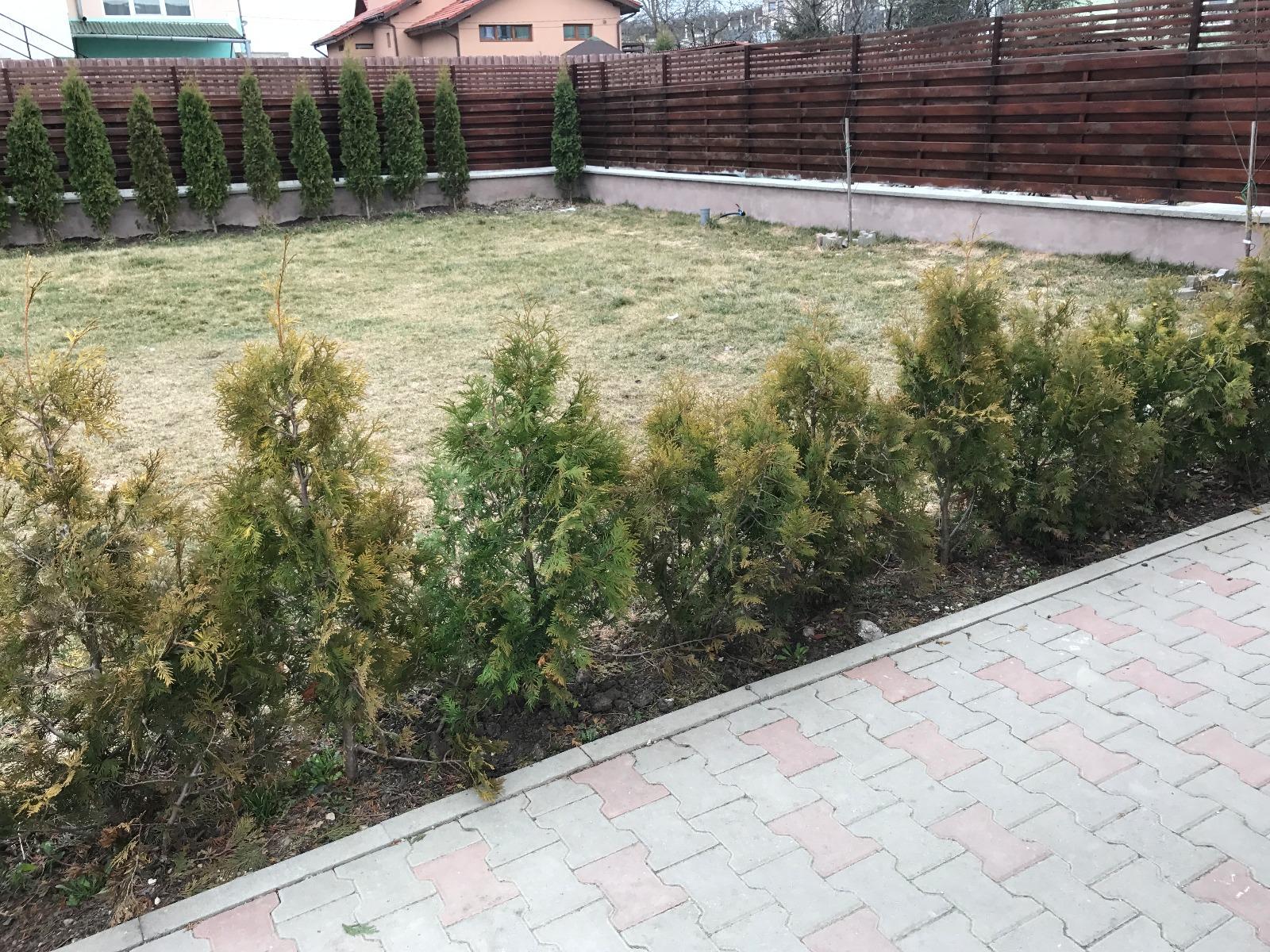 Casa de vânzare 5 camere Făget - 19648CV | BLITZ Cluj-Napoca | Poza14