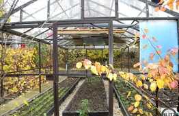 Casa de vanzare, 200 mp, cu teren de 700mp, zona Dambul Rotund!