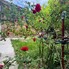 Apartament de vânzare 3 camere Gruia - 196571AV - Poza 1 din 14 | BLITZ Cluj-Napoca | Poza13