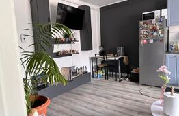 Apartament 2 camere, 2 balcoane, garaj, boxa, zona Teilor