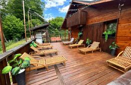Cabana LUX Geamana/Codlea, casa autonoma energetic