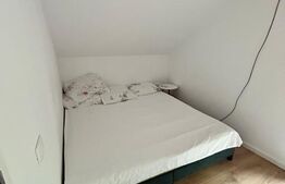 Cabana LUX Geamana/Codlea, casa autonoma energetic