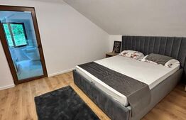 Cabana LUX Geamana/Codlea, casa autonoma energetic