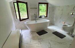 Cabana LUX Geamana/Codlea, casa autonoma energetic