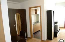 1 camera, 40 mp, imobil nou, complex Flora Park, mobilat modern