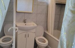 Casa renovabila zona centrala, excelenta pentru investitie, zona Hașdeu