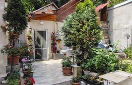 Casa renovabila zona centrala, excelenta pentru investitie, zona Hașdeu