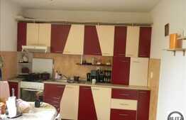 Vanzare duplex, 240 mp utili, 499 mp teren, zona linistita