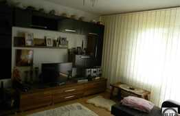 Vanzare duplex, 240 mp utili, 499 mp teren, zona linistita