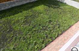 Casa individuala 203 mp, teren 500 mp, zona linistita de case!